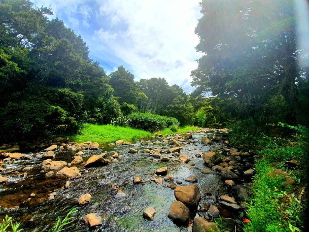 Kaihu Kauri Coast Top 10 Holiday Park المظهر الخارجي الصورة