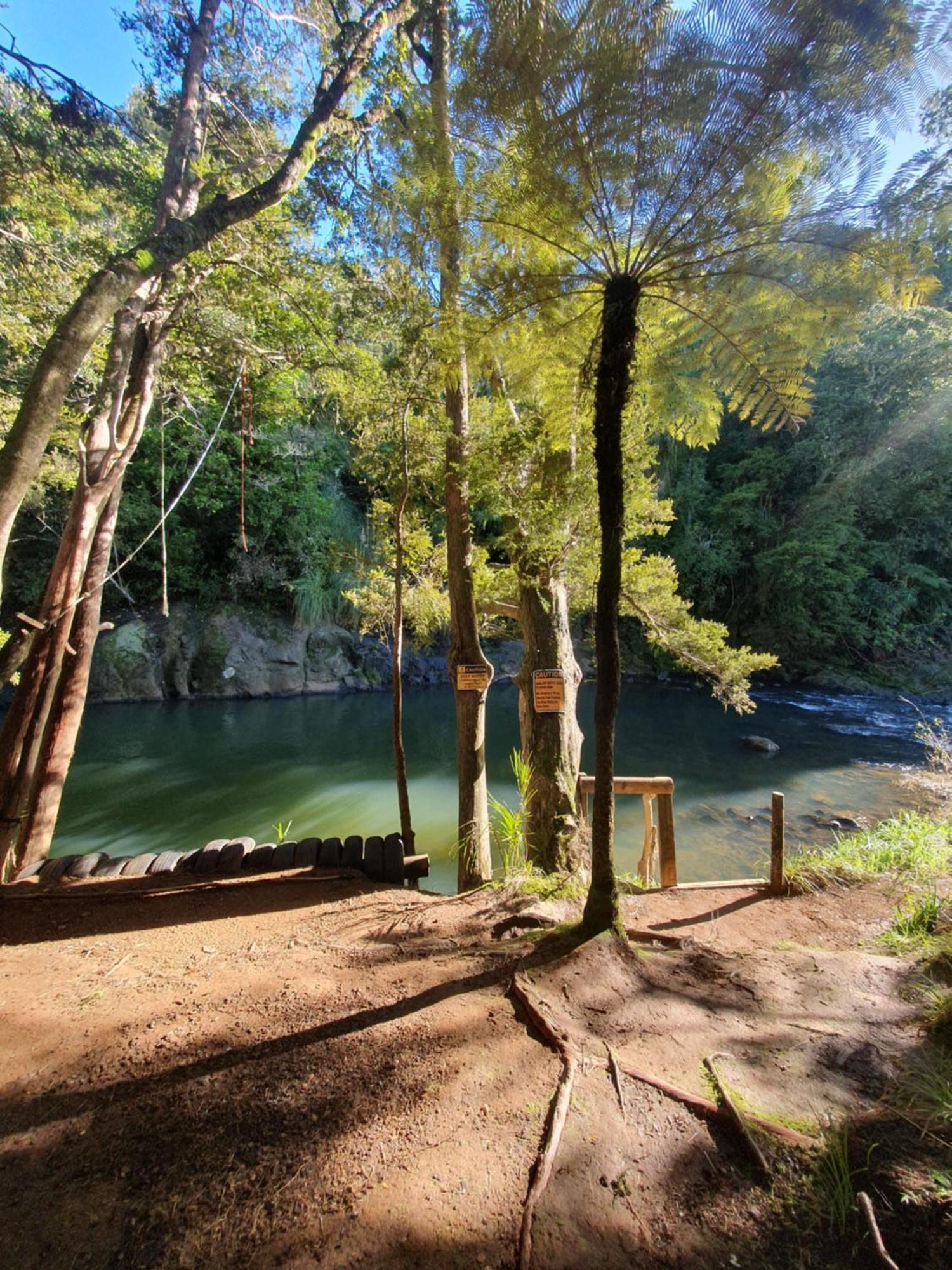 Kauri Coast Top 10 Holiday Park Kaihu المظهر الخارجي الصورة